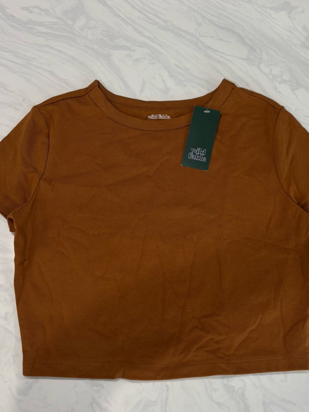 New Wild Fable Short Sleeve Cropped Tee in Rust Burnt Orange.